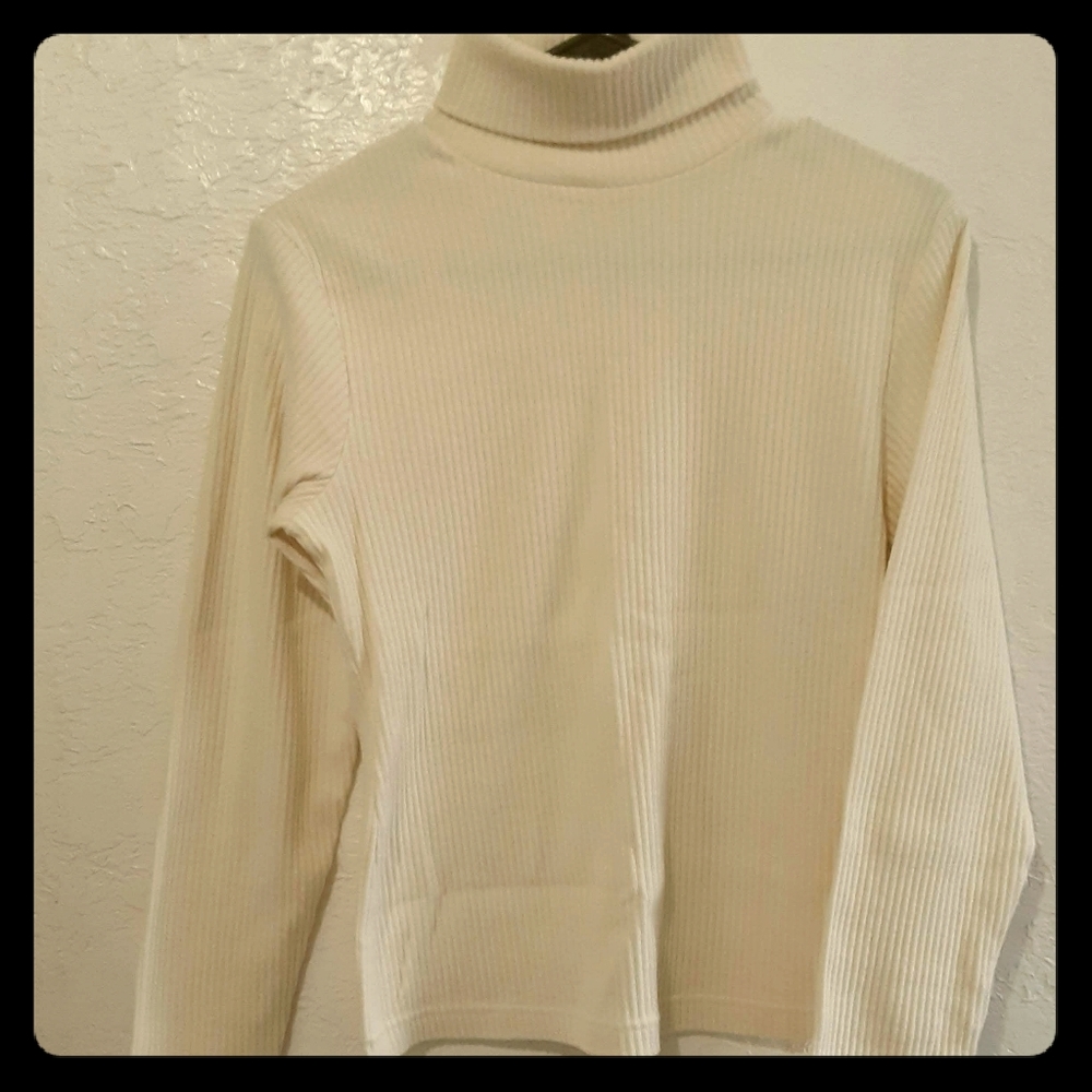 Ribbed turtle neck